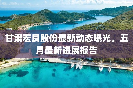 甘肅宏良股份最新動(dòng)態(tài)曝光，五月最新進(jìn)展報(bào)告
