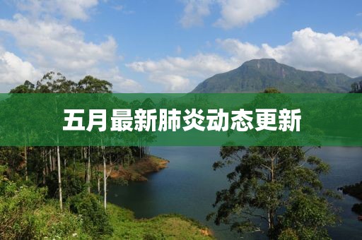 五月最新肺炎動(dòng)態(tài)更新