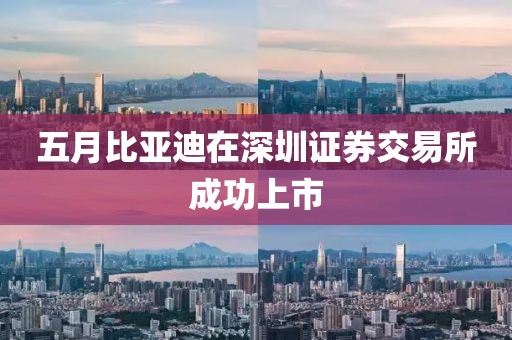 五月比亞迪在深圳證券交易所成功上市
