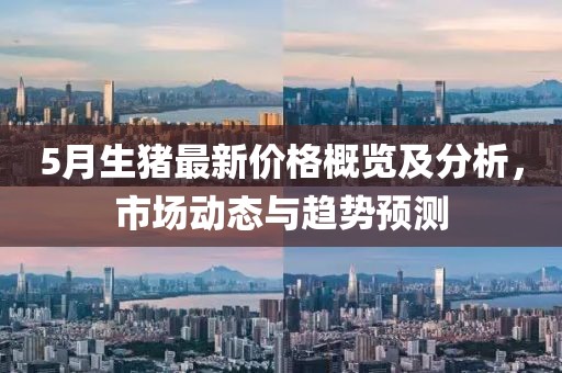 5月生豬最新價格概覽及分析，市場動態(tài)與趨勢預測