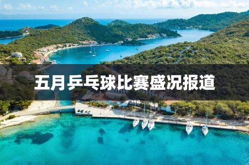 五月乒乓球比賽盛況報道
