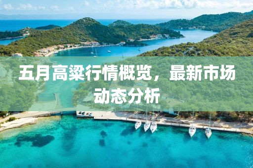 五月高粱行情概覽，最新市場動態(tài)分析
