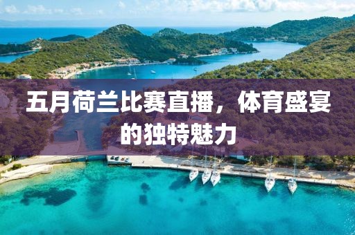五月荷蘭比賽直播，體育盛宴的獨(dú)特魅力