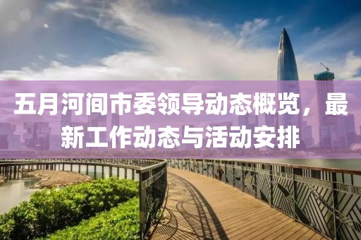 五月河間市委領(lǐng)導(dǎo)動態(tài)概覽，最新工作動態(tài)與活動安排