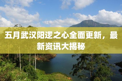 五月武漢陽邏之心全面更新，最新資訊大揭秘