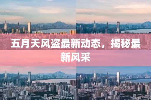 五月天風(fēng)盜最新動態(tài)，揭秘最新風(fēng)采