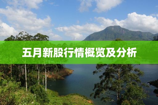 五月新股行情概覽及分析