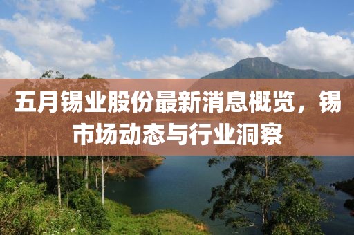 五月錫業(yè)股份最新消息概覽，錫市場動態(tài)與行業(yè)洞察