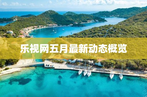 樂(lè)視網(wǎng)五月最新動(dòng)態(tài)概覽