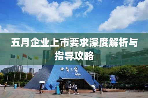 五月企業(yè)上市要求深度解析與指導(dǎo)攻略