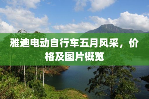 雅迪電動自行車五月風(fēng)采，價(jià)格及圖片概覽