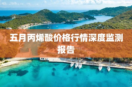 五月丙烯酸價(jià)格行情深度監(jiān)測報(bào)告