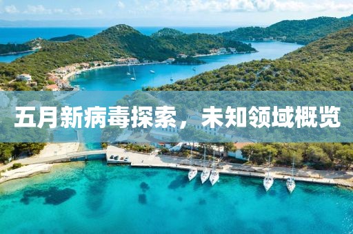 五月新病毒探索，未知領域概覽