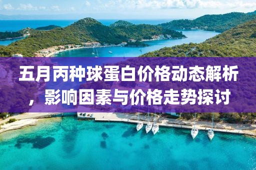 五月丙種球蛋白價(jià)格動(dòng)態(tài)解析，影響因素與價(jià)格走勢(shì)探討