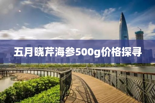 五月曉芹海參500g價(jià)格探尋