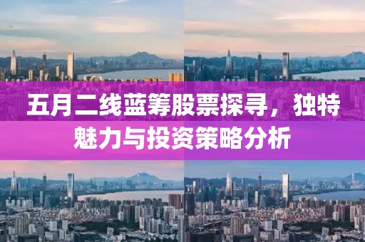 五月二線藍(lán)籌股票探尋，獨(dú)特魅力與投資策略分析