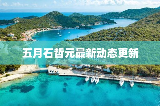 五月石哲元最新動態(tài)更新