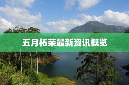 五月柘榮最新資訊概覽