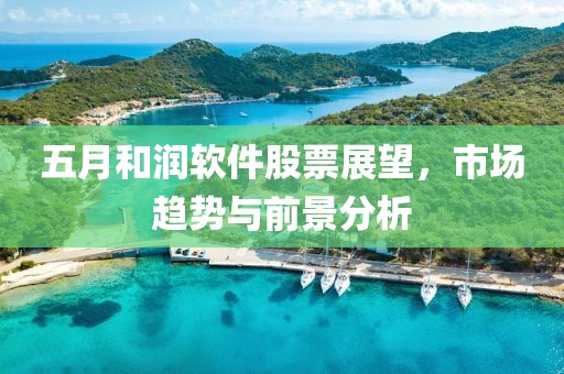 五月和潤軟件股票展望，市場趨勢與前景分析