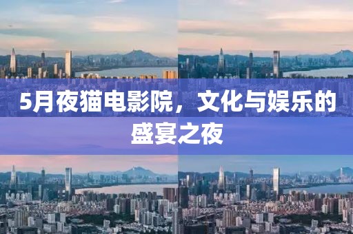 5月夜貓電影院，文化與娛樂的盛宴之夜