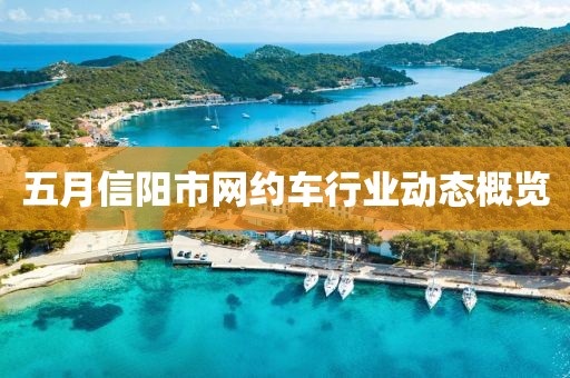 五月信陽市網(wǎng)約車行業(yè)動態(tài)概覽