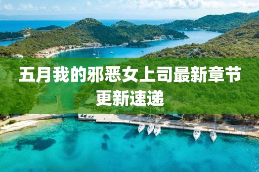 五月我的邪惡女上司最新章節(jié)更新速遞