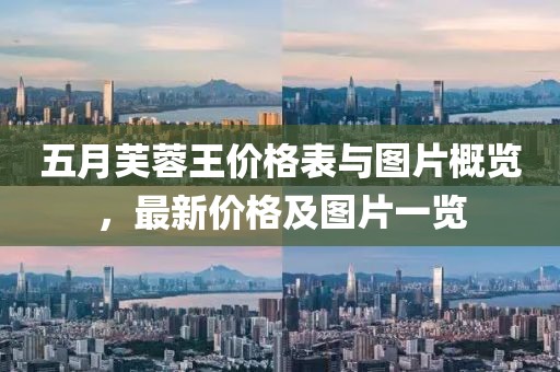 五月芙蓉王價(jià)格表與圖片概覽，最新價(jià)格及圖片一覽