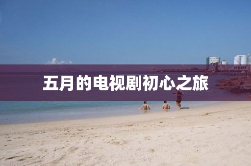 五月的電視劇初心之旅