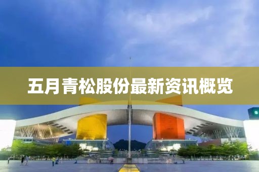 五月青松股份最新資訊概覽