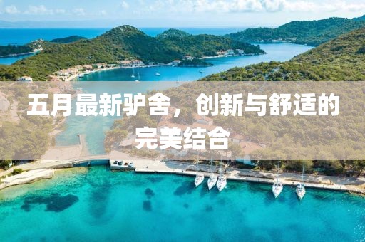 五月最新驢舍，創(chuàng)新與舒適的完美結(jié)合
