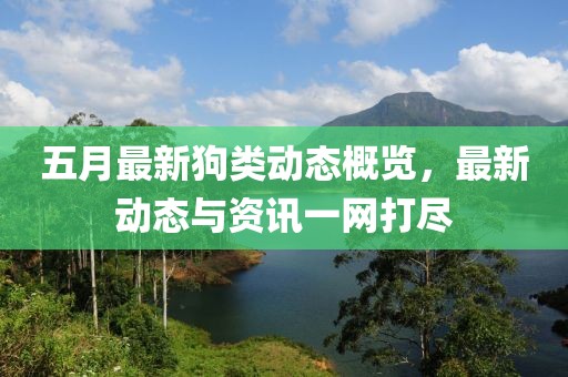 五月最新狗類動態(tài)概覽，最新動態(tài)與資訊一網(wǎng)打盡