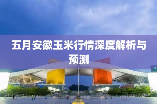 五月安徽玉米行情深度解析與預(yù)測(cè)