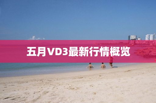 五月VD3最新行情概覽