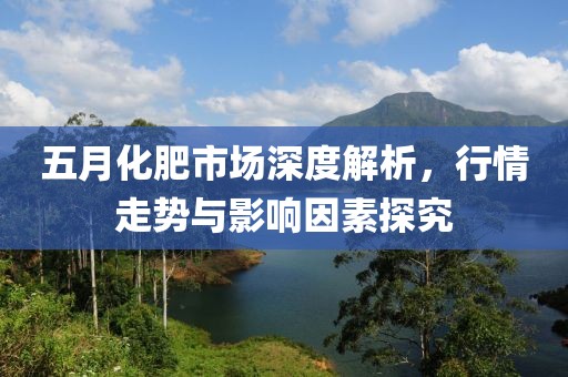 五月化肥市場深度解析，行情走勢與影響因素探究
