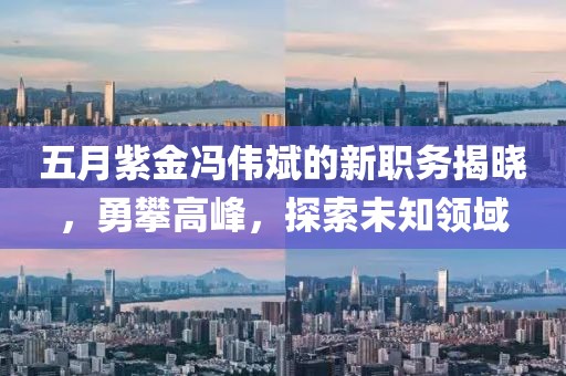 五月紫金馮偉斌的新職務(wù)揭曉，勇攀高峰，探索未知領(lǐng)域