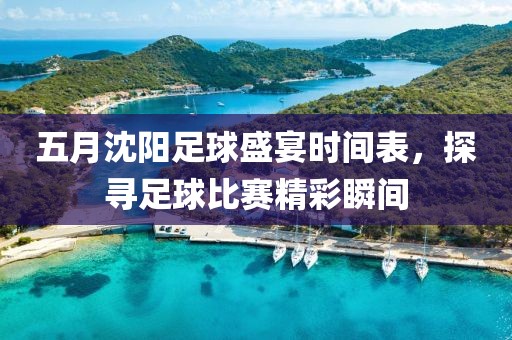 五月沈陽足球盛宴時間表，探尋足球比賽精彩瞬間