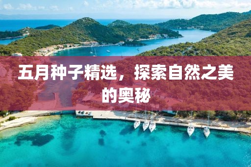 五月種子精選，探索自然之美的奧秘