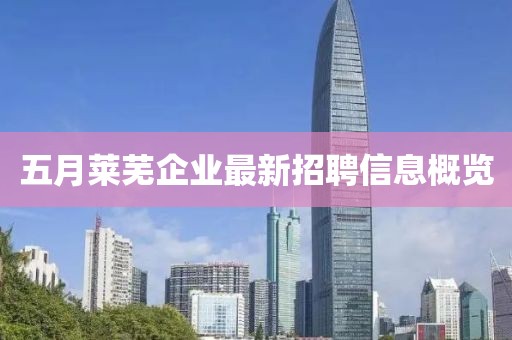 五月萊蕪企業(yè)最新招聘信息概覽