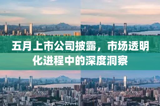 五月上市公司披露，市場透明化進(jìn)程中的深度洞察