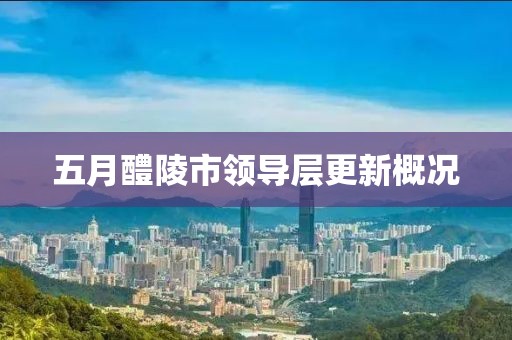 五月醴陵市領導層更新概況