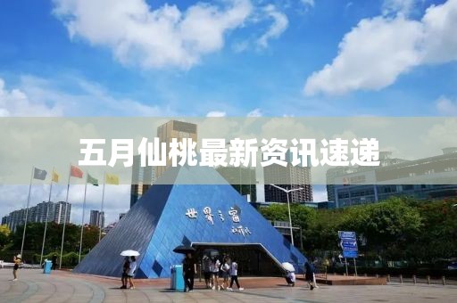 五月仙桃最新資訊速遞