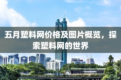 五月塑料網(wǎng)價(jià)格及圖片概覽，探索塑料網(wǎng)的世界