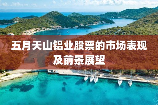 五月天山鋁業(yè)股票的市場(chǎng)表現(xiàn)及前景展望