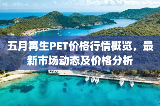 五月再生PET價格行情概覽，最新市場動態(tài)及價格分析