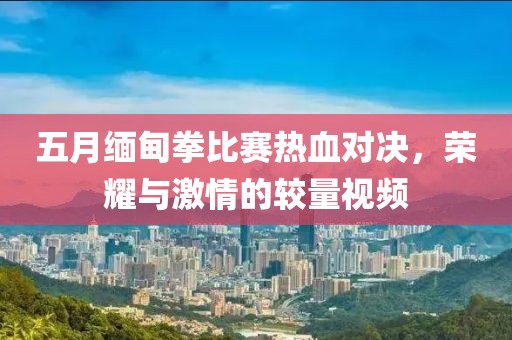 回轉(zhuǎn)馬達 第36頁
