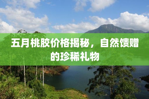 五月桃膠價格揭秘，自然饋贈的珍稀禮物
