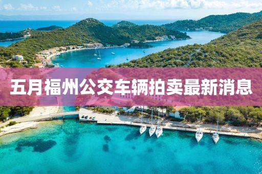 五月福州公交車輛拍賣最新消息