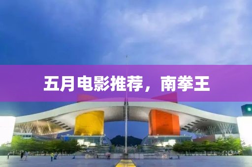 五月電影推薦，南拳王