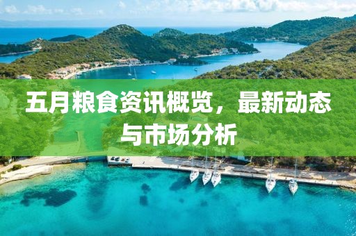 五月糧食資訊概覽，最新動態(tài)與市場分析