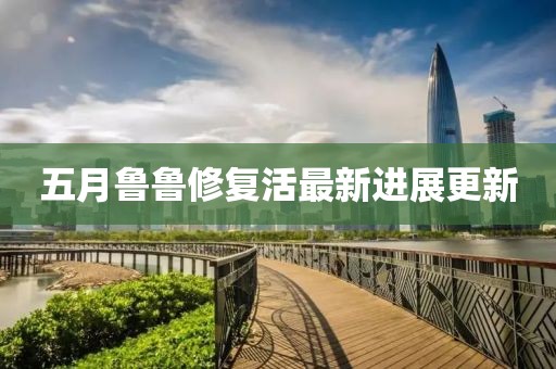 五月魯魯修復(fù)活最新進(jìn)展更新